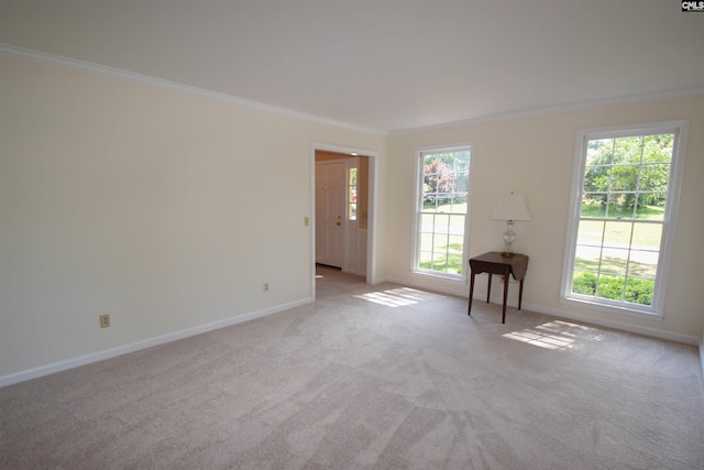 spare room featuring light carpet and crown molding