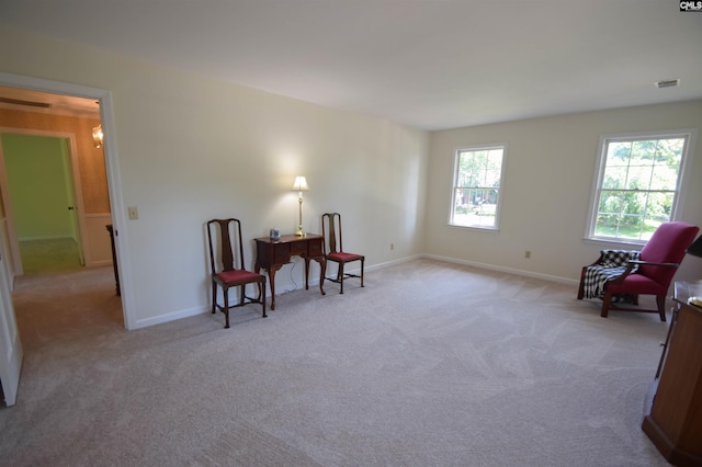 sitting room with light carpet