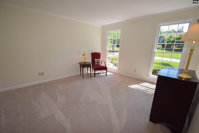 unfurnished room featuring crown molding, light colored carpet, and a healthy amount of sunlight