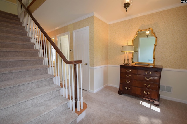 staircase featuring crown molding and carpet