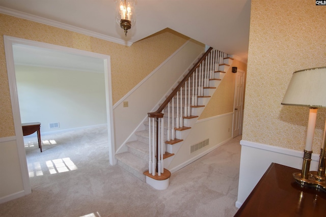 stairs with ornamental molding and carpet