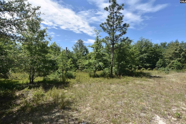 181 Buckboard Rd, Wagener SC, 29164 land for sale