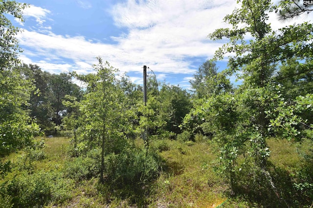 Listing photo 3 for 181 Buckboard Rd, Wagener SC 29164