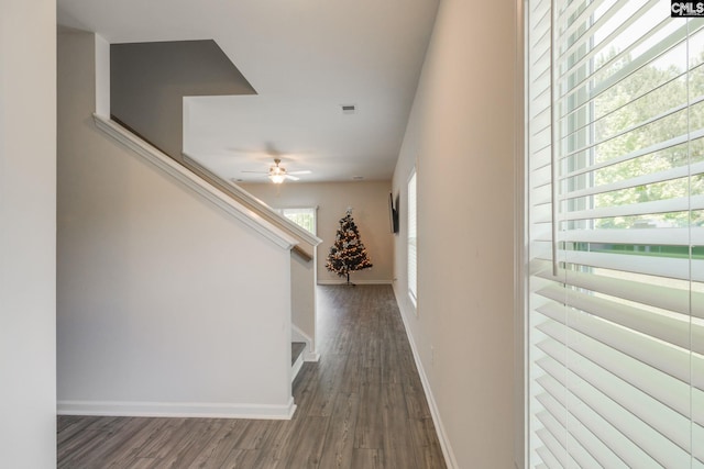 hallway featuring dark hardwood / wood-style floors