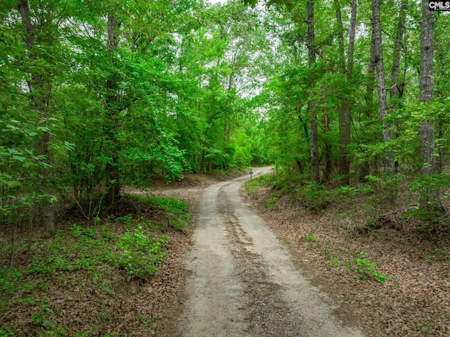 view of road