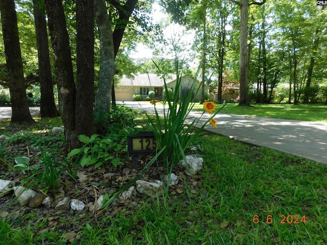 125 Milmont Shores Rd, Chapin, SC 29036 - view of green lawn