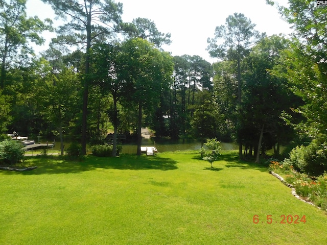 view of property's community featuring a lawn