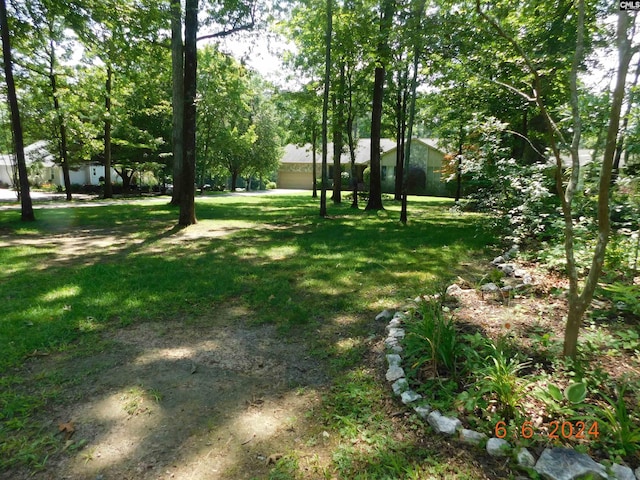 125 Milmont Shores Rd, Chapin, SC 29036 - view of grassy yard