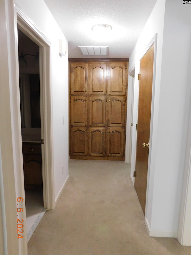 125 Milmont Shores Rd, Chapin, SC 29036 - corridor with light carpet and baseboards