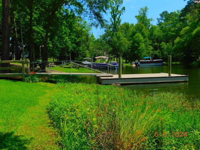125 Milmont Shores Rd, Chapin, SC 29036 - view of community featuring a dock and a water view