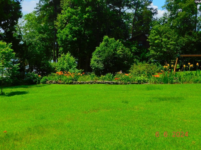 125 Milmont Shores Rd, Chapin, SC 29036 - view of green lawn