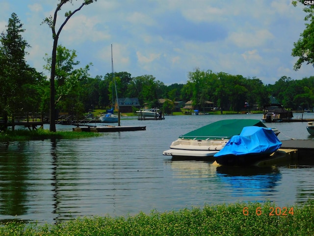 view of water feature with a dock