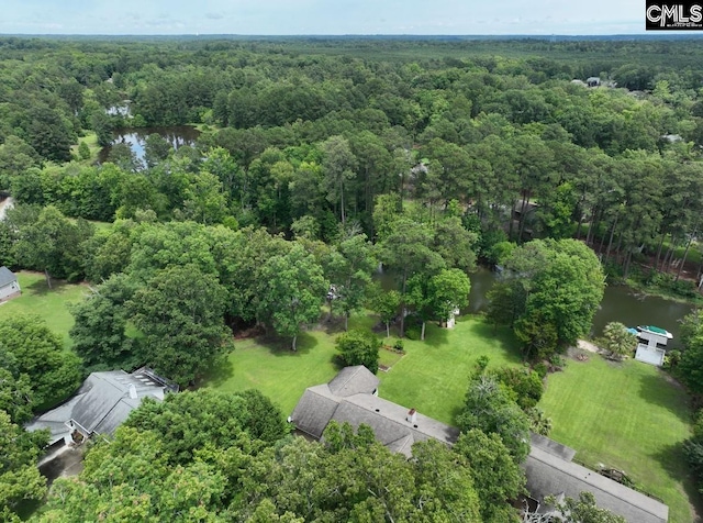 125 Milmont Shores Rd, Chapin, SC 29036 - drone / aerial view of a forest and a nearby body of water