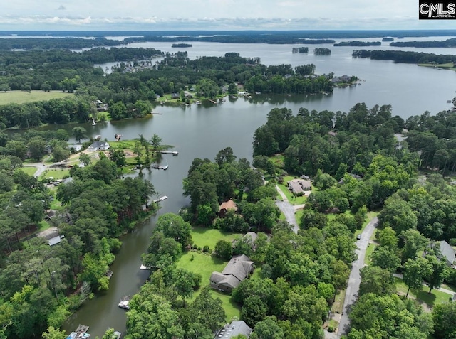 125 Milmont Shores Rd, Chapin, SC 29036 - bird's eye view of a nearby body of water