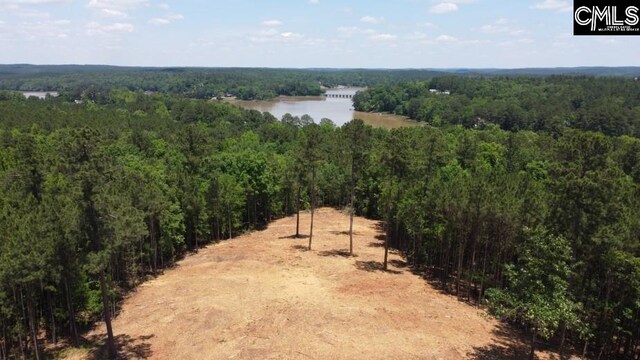 Great N Rd, Winnsboro SC, 29180 land for sale