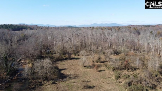 0 Red Radford Rd, Spartanburg SC, 29322 land for sale