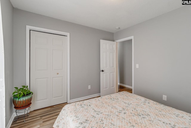 bedroom featuring a closet and wood-type flooring