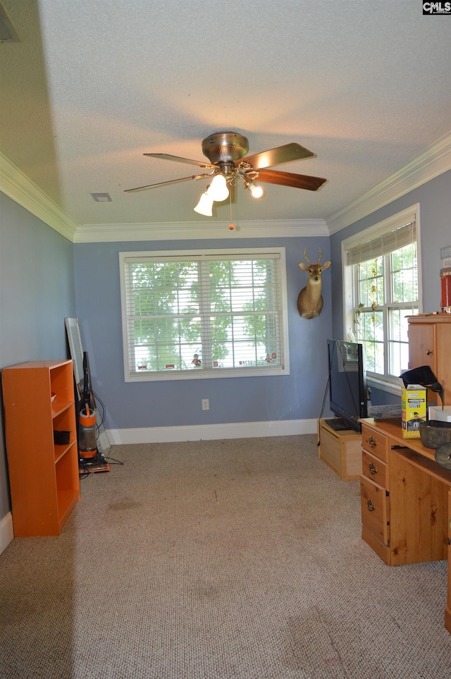 carpeted home office with ceiling fan, a textured ceiling, and ornamental molding