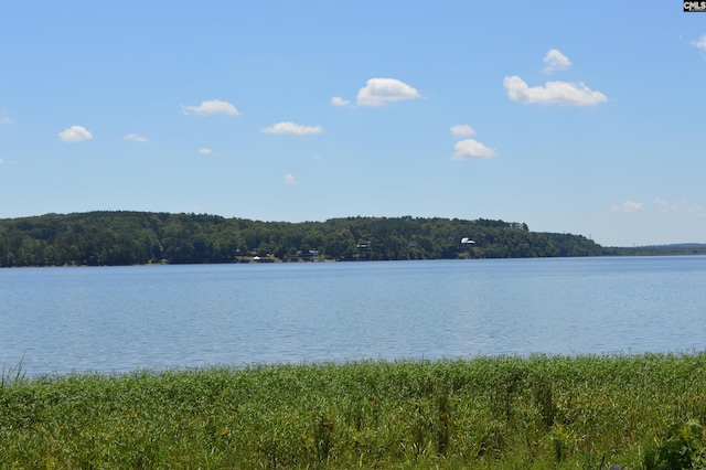 view of water feature