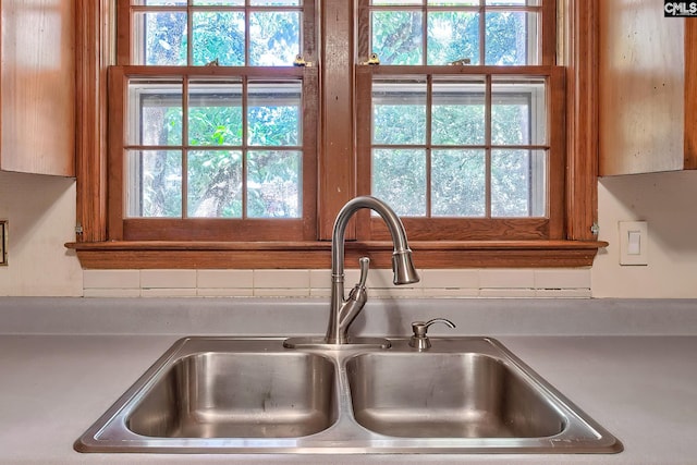 room details featuring sink