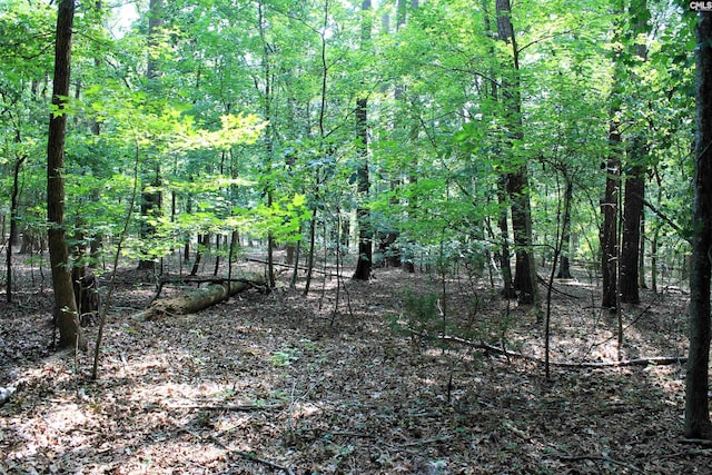 Listing photo 2 for TBD Chapin Rd, Chapin SC 29036