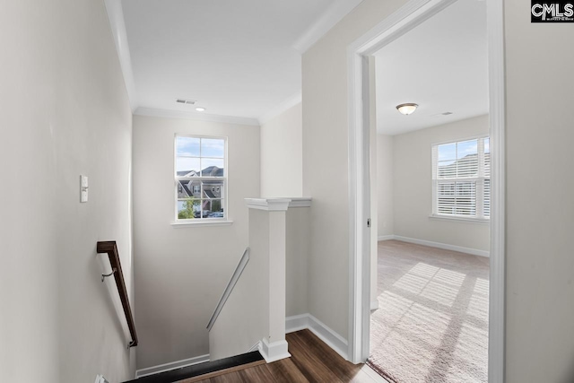 stairs with hardwood / wood-style floors, plenty of natural light, and ornamental molding