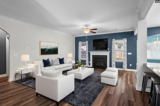 living room featuring ceiling fan, crown molding, and dark wood-type flooring