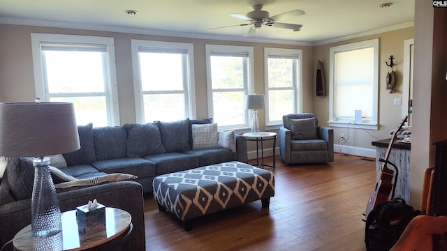 living room with dark hardwood / wood-style floors, crown molding, and ceiling fan