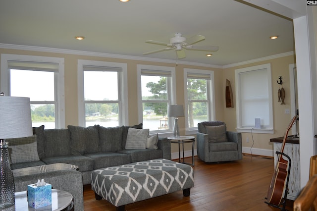 living room featuring ceiling fan, dark wood-type flooring, and ornamental molding