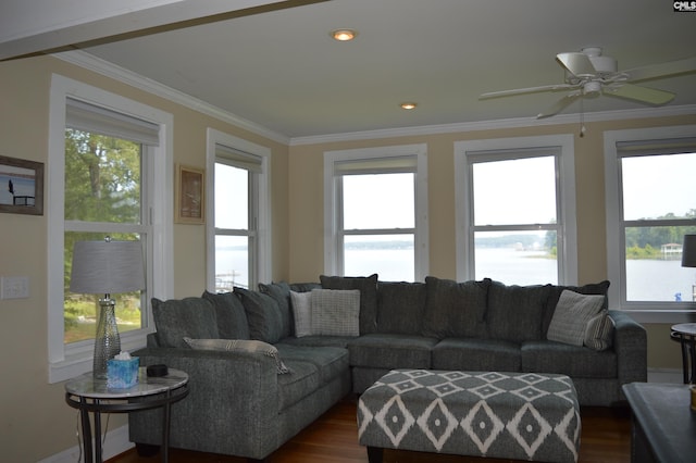 living room with ceiling fan, dark hardwood / wood-style flooring, and crown molding