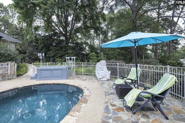 view of swimming pool with a patio