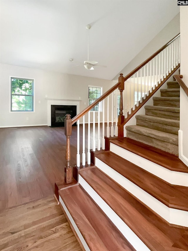 stairs with ceiling fan and hardwood / wood-style flooring