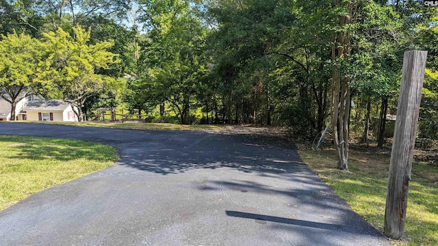 view of street with aphalt driveway