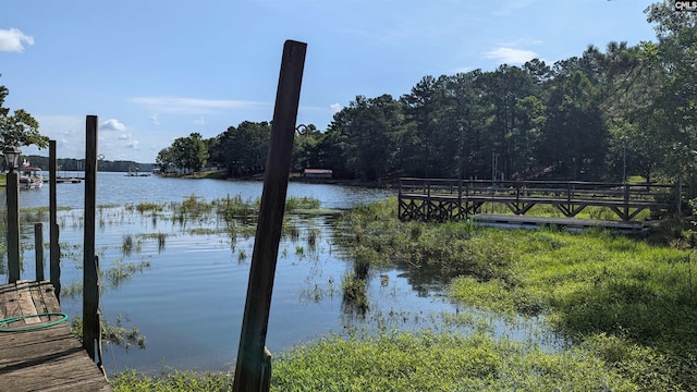 property view of water