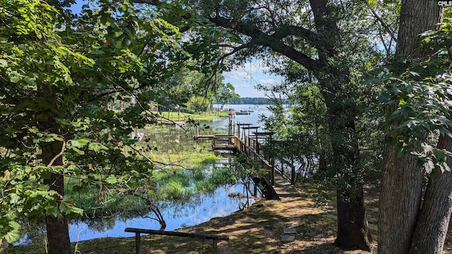 dock area with a water view