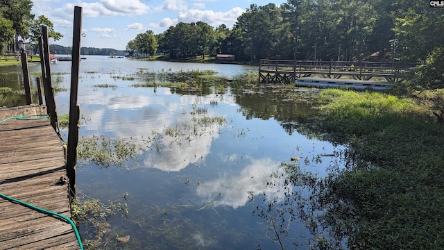 view of dock featuring a water view