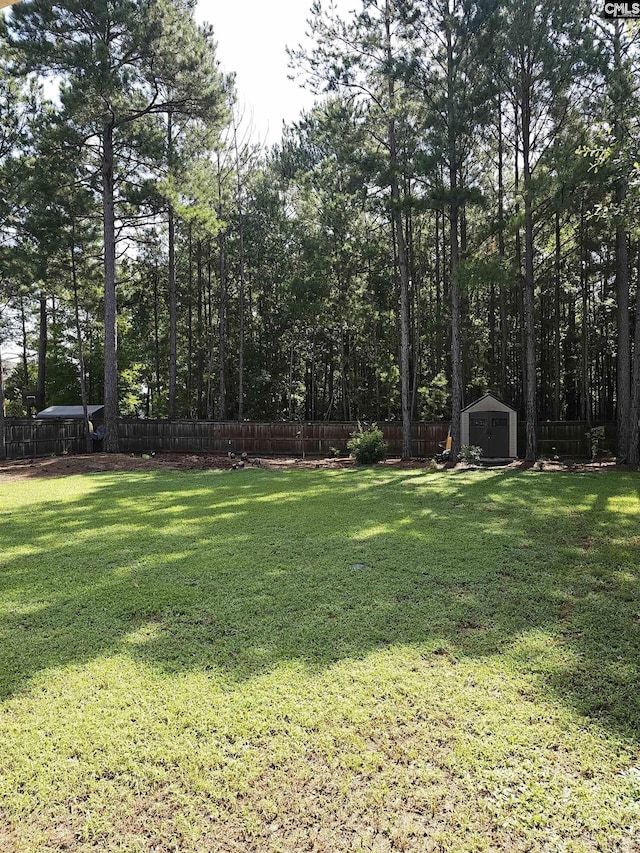 view of yard with a shed, a fenced backyard, and an outdoor structure