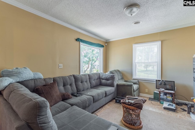 living room featuring a textured ceiling, crown molding, and plenty of natural light