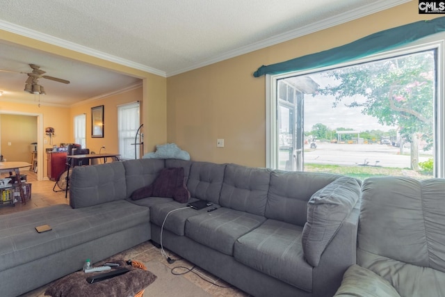 living room featuring crown molding, ceiling fan, and a healthy amount of sunlight