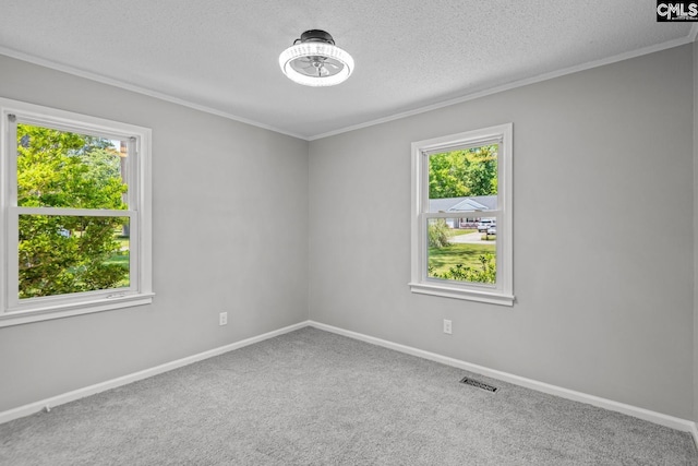 carpeted spare room with crown molding, a healthy amount of sunlight, and a textured ceiling