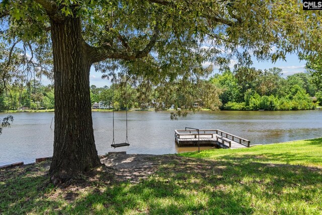 dock area with a water view