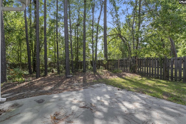 view of yard with a patio