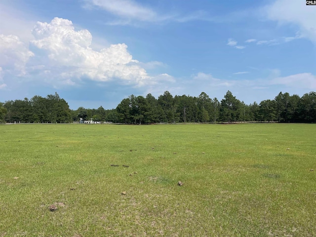 0 Sand Dam Rd, Wagener SC, 29164 land for sale