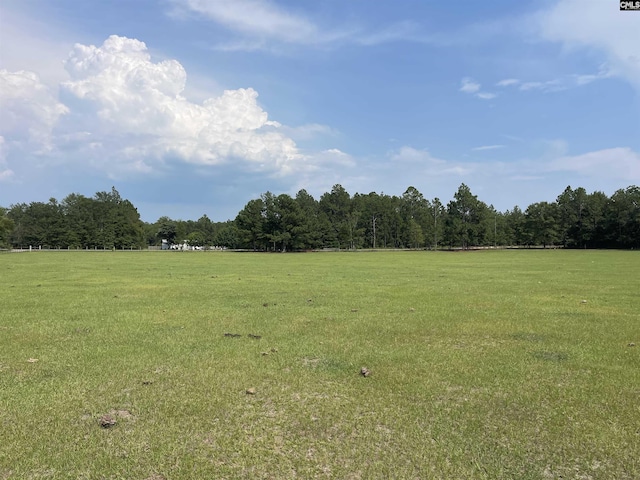 0 Sand Dam Rd, Wagener SC, 29164 land for sale