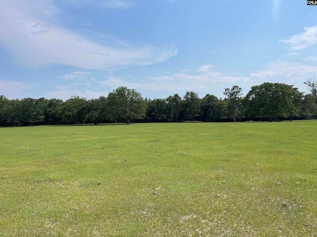 Listing photo 2 for 0 Sand Dam Rd, Wagener SC 29164