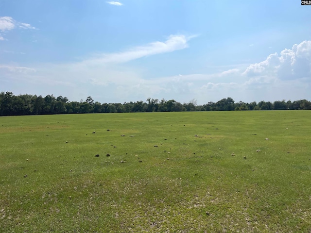 Listing photo 3 for 0 Sand Dam Rd, Wagener SC 29164