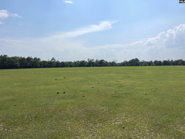 Listing photo 3 for 0 Sand Dam Rd, Wagener SC 29164