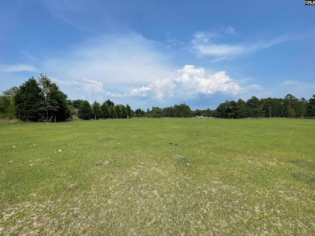 0 Sand Dam Rd, Wagener SC, 29164 land for sale