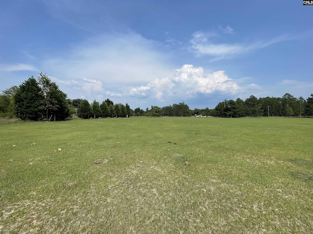 0 Sand Dam Rd, Wagener SC, 29164 land for sale