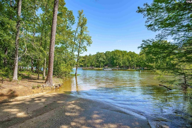 Listing photo 3 for 0 Woodlake Cir, Chapin SC 29036